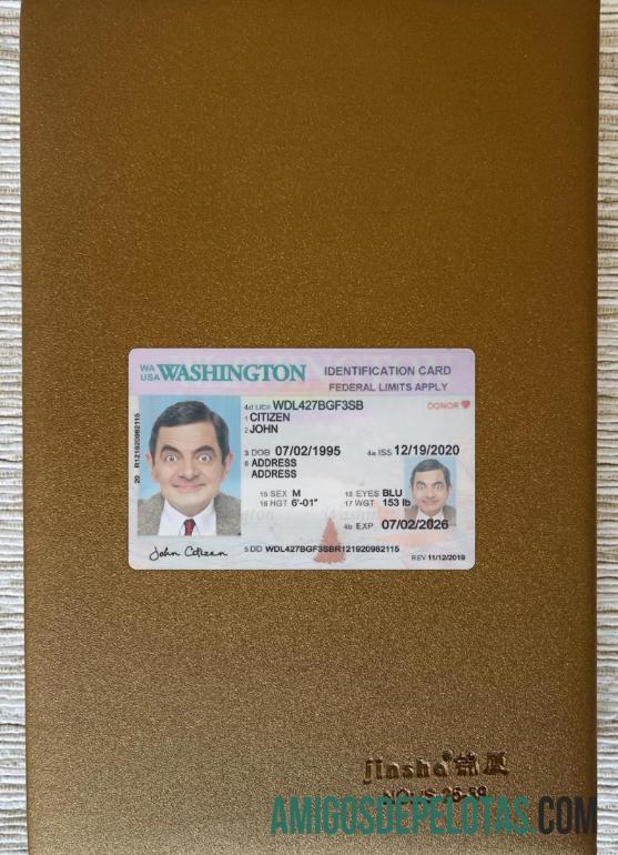 USA Washington ID Card 2020 Present olhar de foto frente exemplo